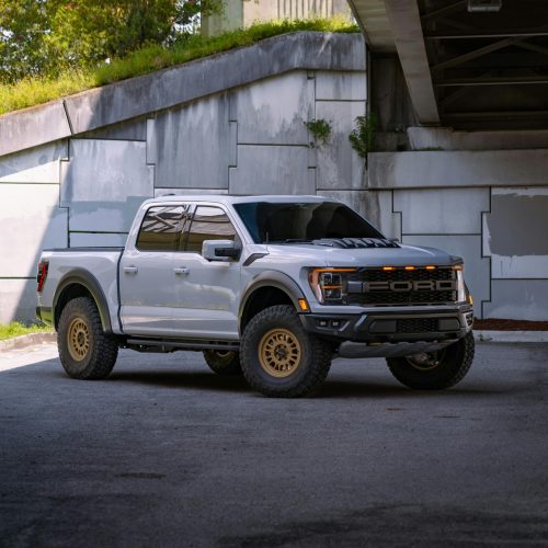 pexels-fbo-media-535159577-33206060